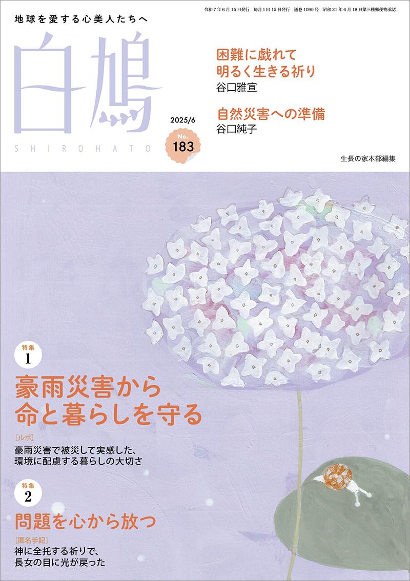 白鳩 No.183(6月号)