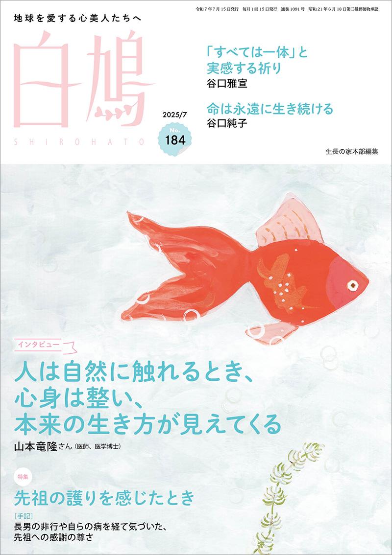 白鳩 No.184(7月号)