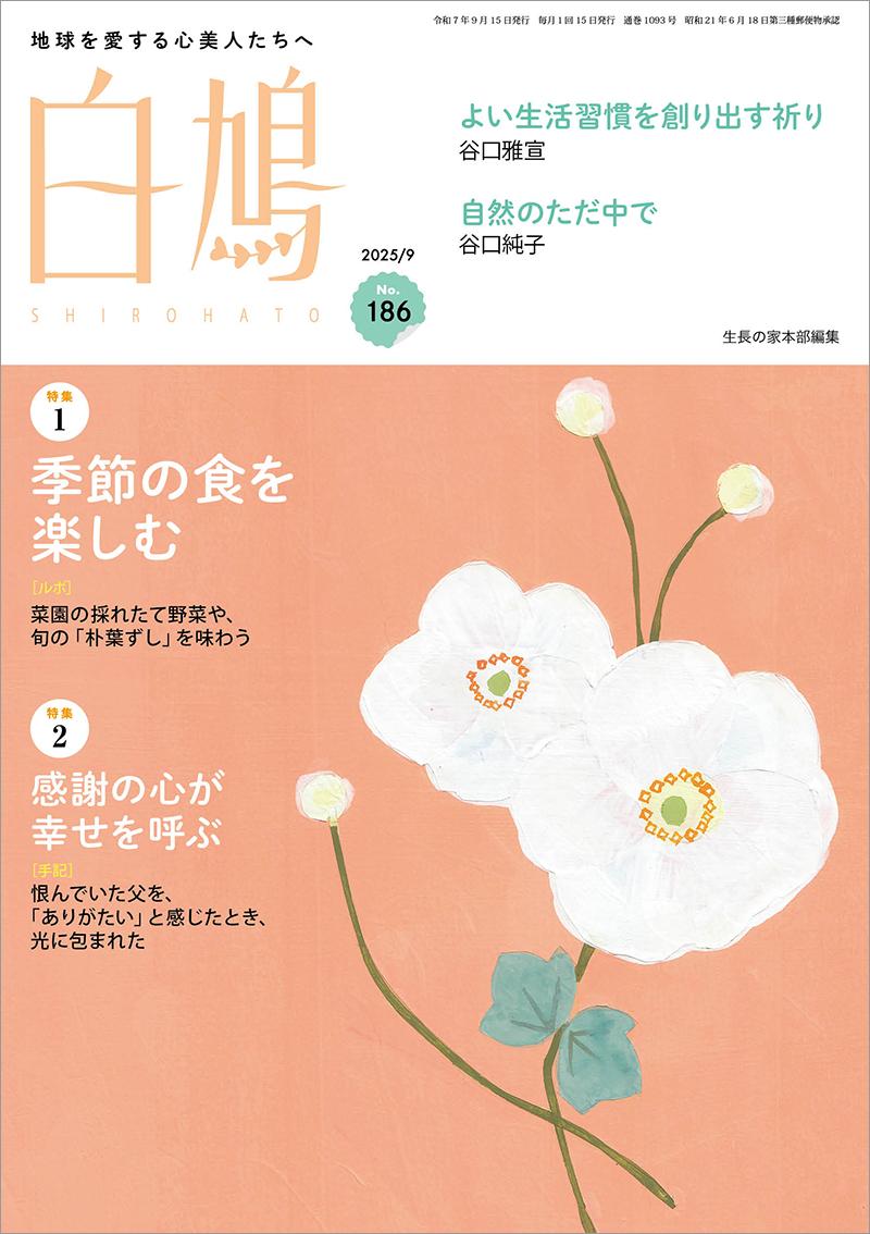 白鳩 No.186(9月号)